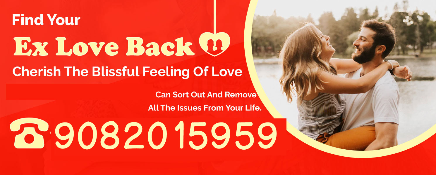 Find Your Ex Love Back